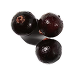 Black currant